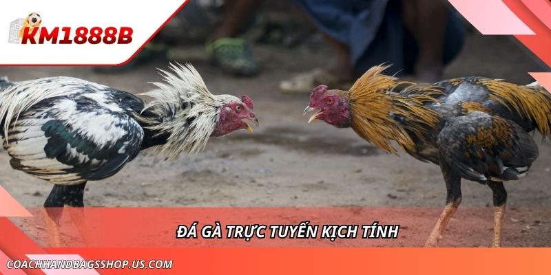 KM1888B - Sân Chơi Cá Cược Xanh Chín Đẳng Cấp Số 1 Việt Nam