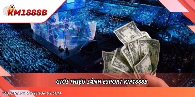 Esport KM1888B - Sảnh Game Đối Kháng Nhận Thưởng Hấp Dẫn